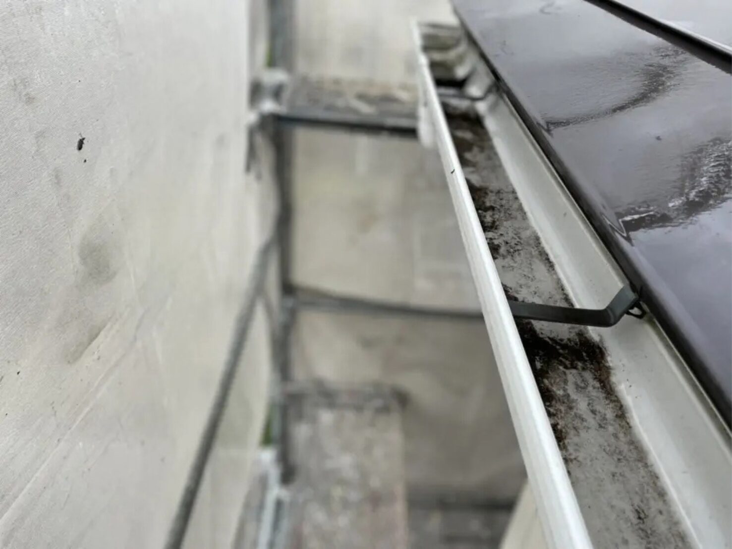 Before image